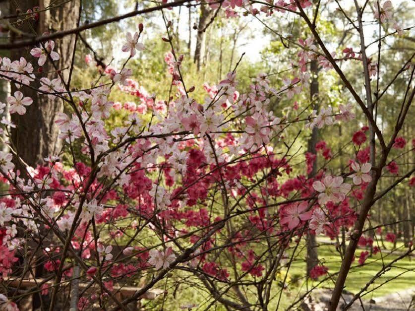 Wild Woods At Pokolbin别墅 外观 照片